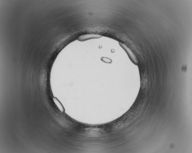 X0000116430448201001191514