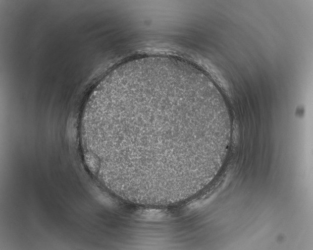 X0000116430449201001191514