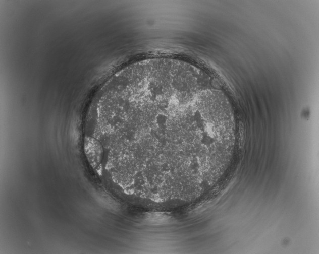 X0000116430451201001191514