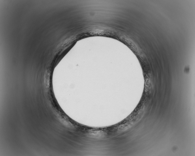 X0000116430454201001191514