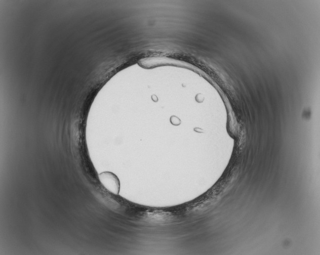 X0000116430455201001191514