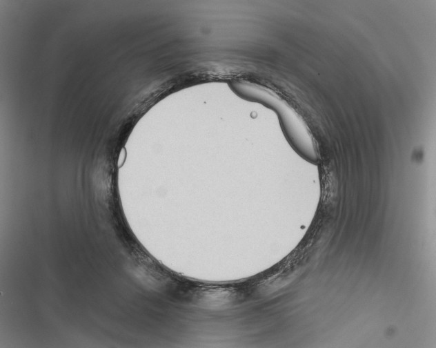 X0000116430456201001191514