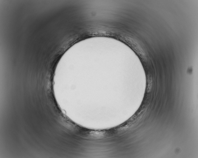 X0000116430457201001191514