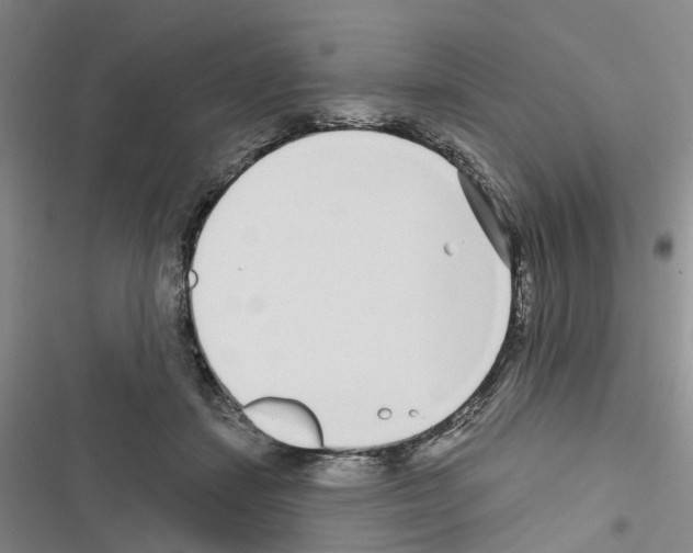 X0000116430459201001191514