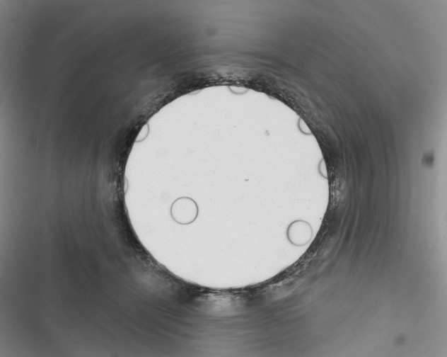 X0000116430464201001191514
