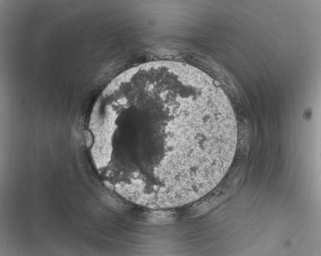 X0000116430465201001191514