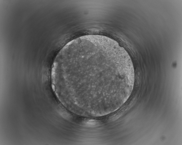 X0000116430467201001191514