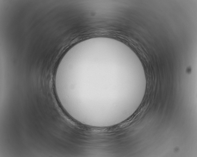 X0000116430470201001191514