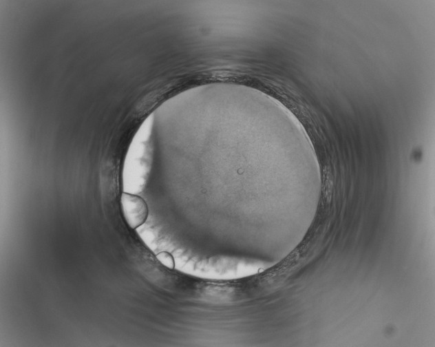 X0000116430471201001191514