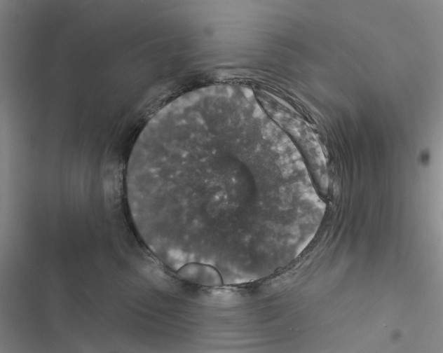 X0000116430475201001191515