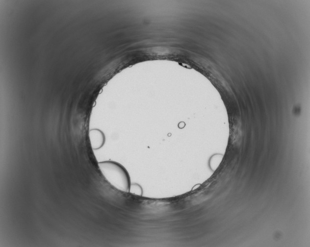 X0000116430476201001191515