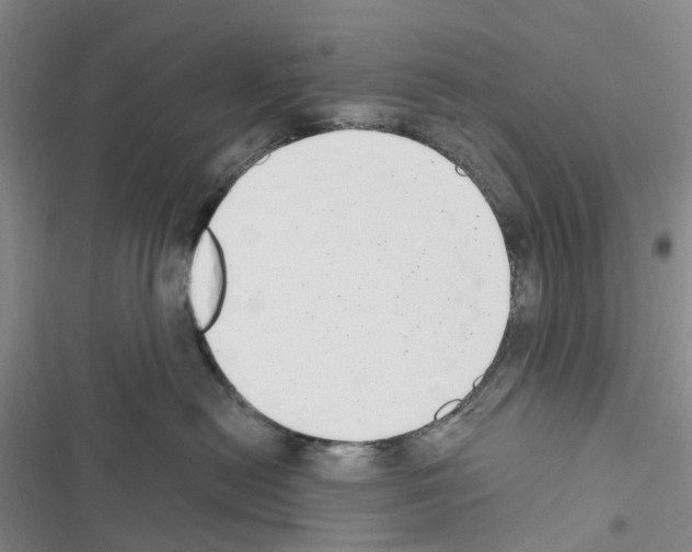 X0000116430478201001191515