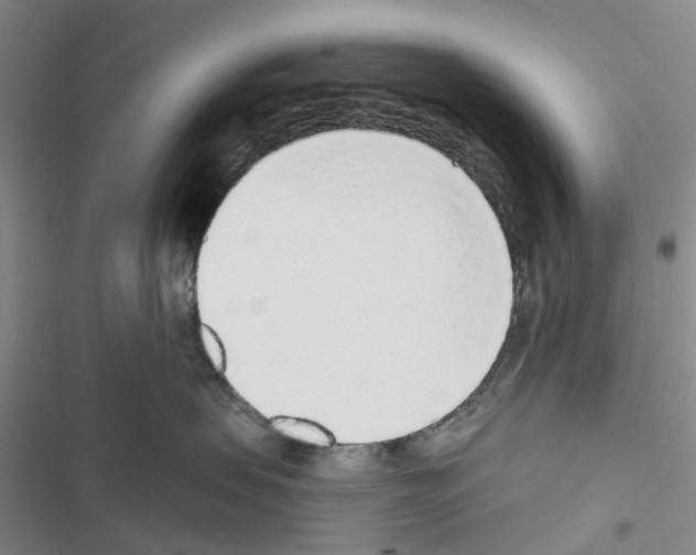 X0000116430479201001191515