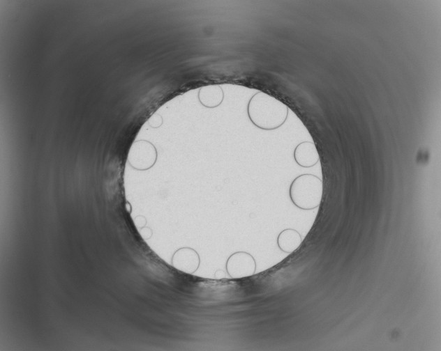 X0000116430480201001191515