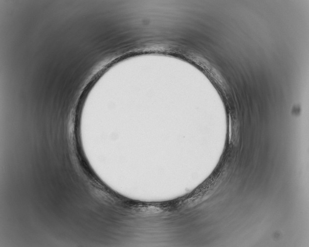 X0000116430483201001191514