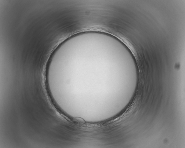 X0000116430485201001191514