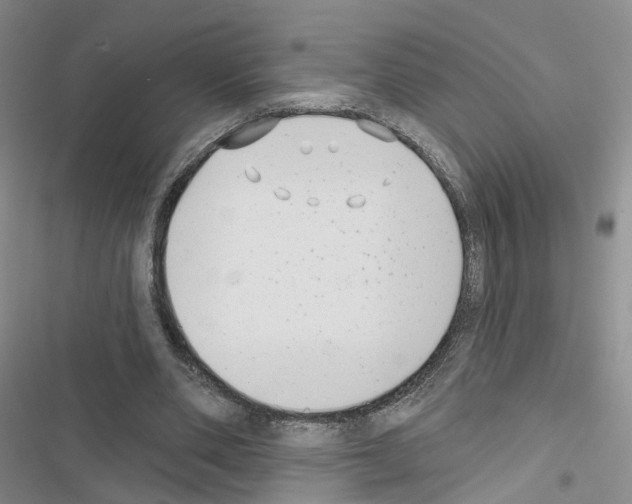 X0000116430486201001191514
