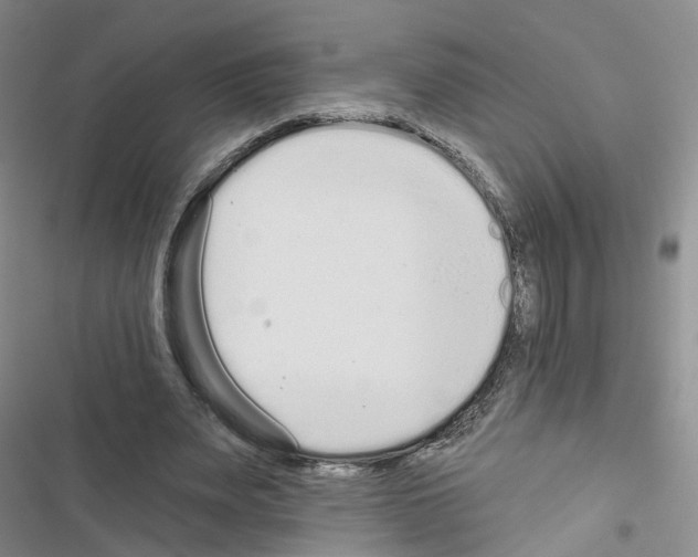 X0000116430487201001191514