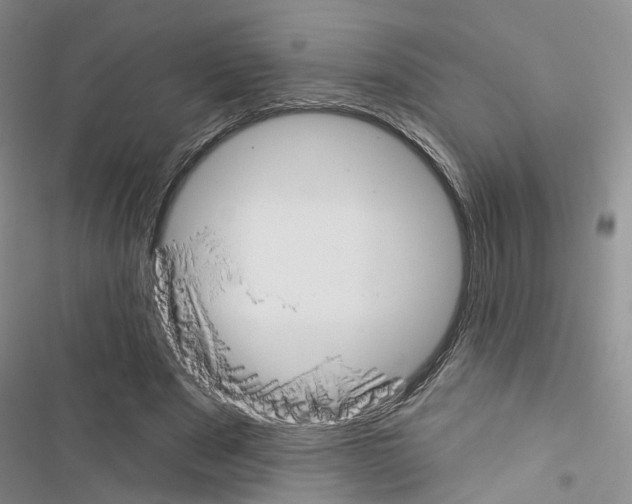 X0000116430489201001191514