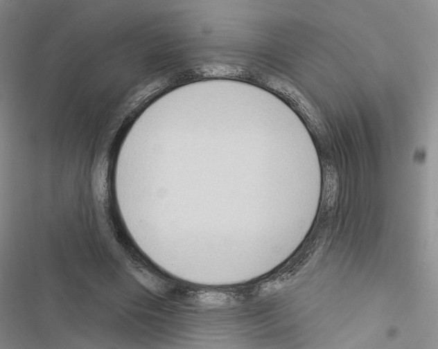 X0000116430490201001191514