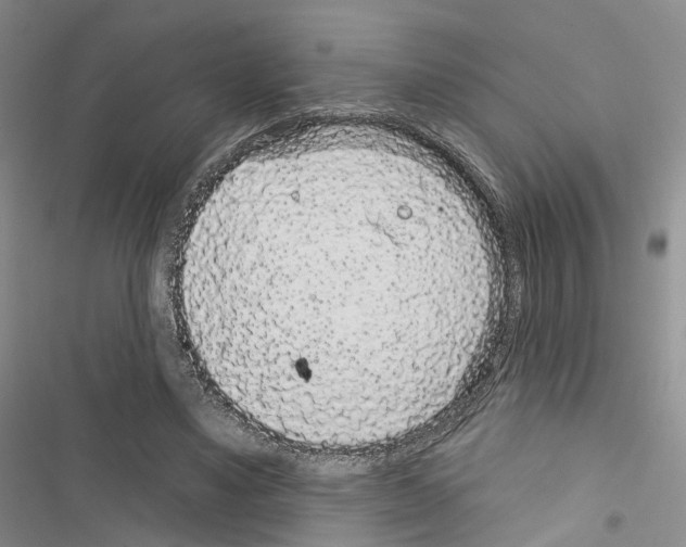 X0000116430491201001191514