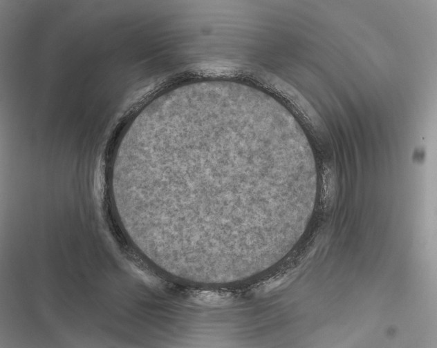 X0000116430494201001191514