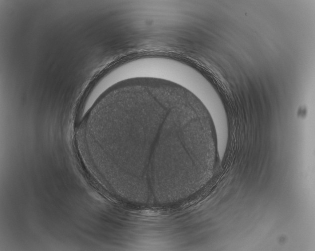 X0000116430496201001191514