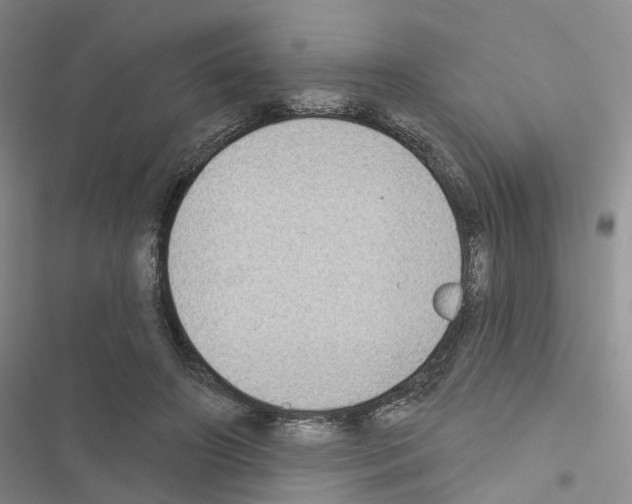 X0000116430498201001191514