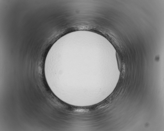 X0000116430499201001191514