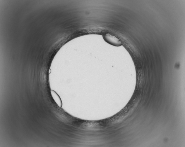 X0000116430501201001191514