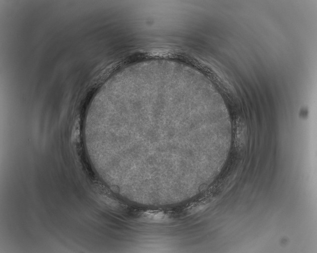 X0000116430502201001191514