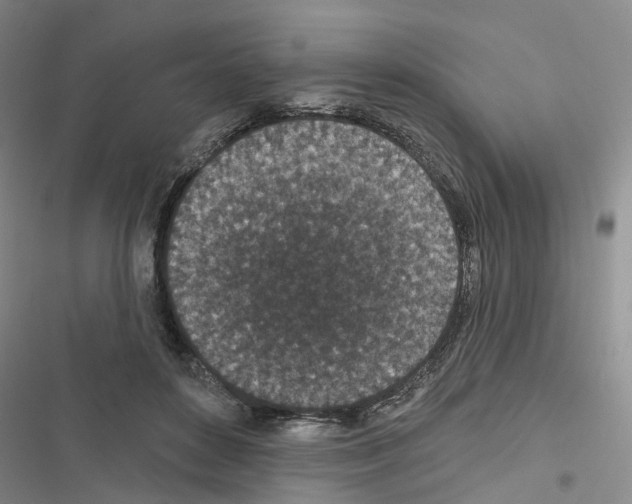 X0000116430504201001191514