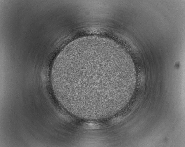 X0000116430506201001191514