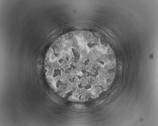 X0000116430507201001191514