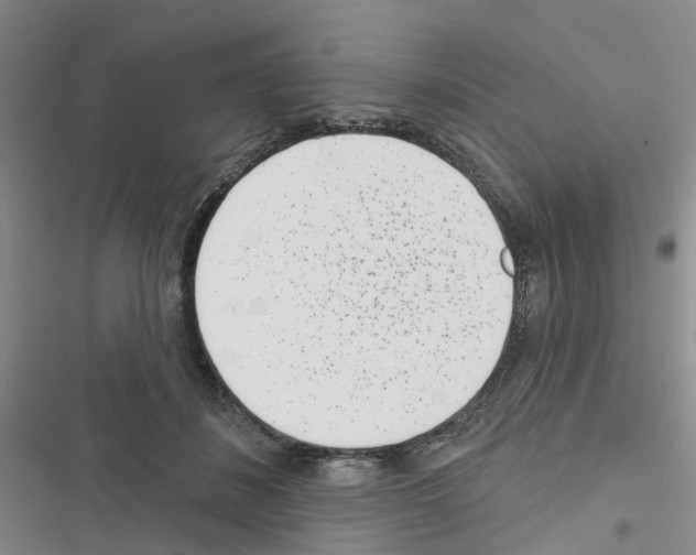 X0000116430508201001191514