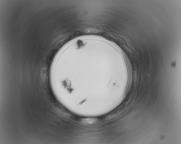 X0000116430511201001191514