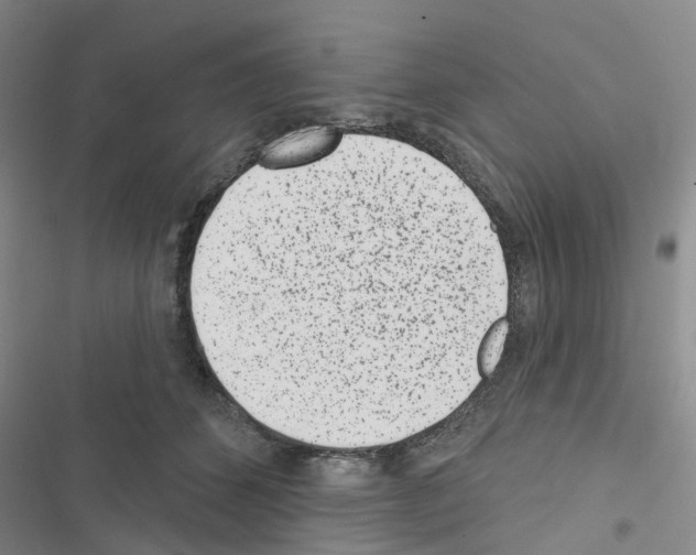 X0000116430512201001191513