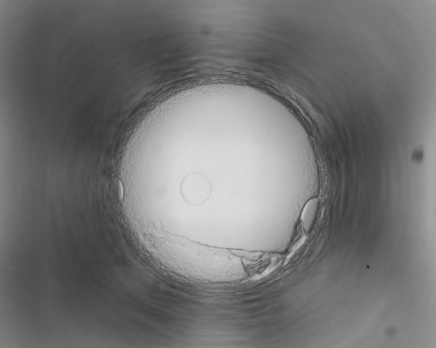 X0000116430513201001191513