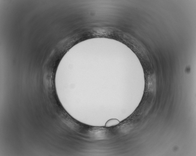X0000116430514201001191513