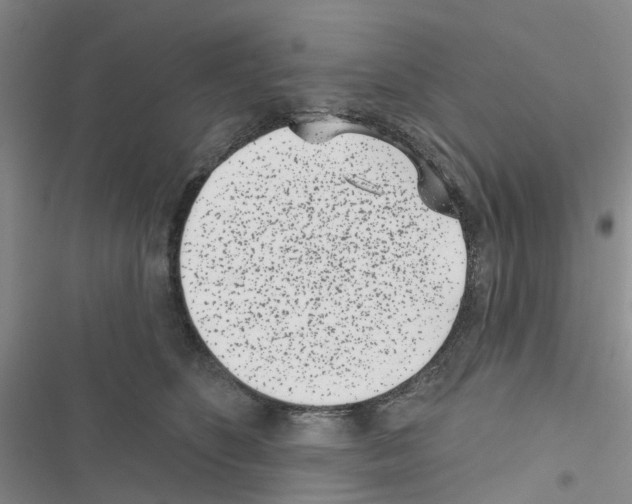 X0000116430516201001191513
