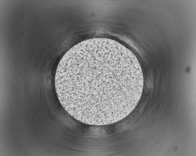 X0000116430520201001191513