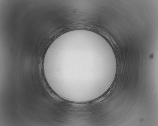 X0000116430521201001191513