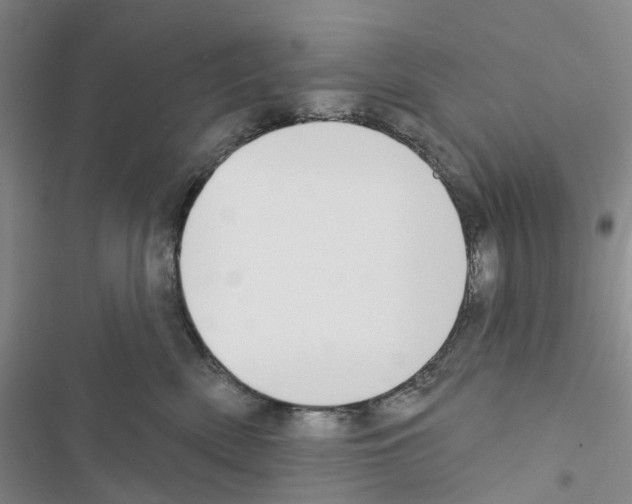 X0000116430522201001191513