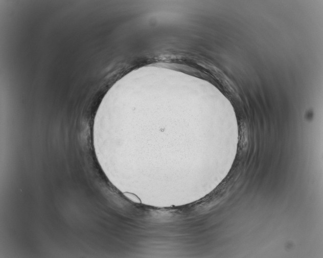 X0000116430523201001191513