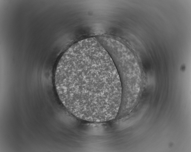 X0000116430524201001191513