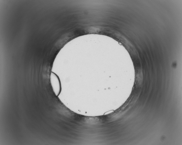 X0000116430525201001191513