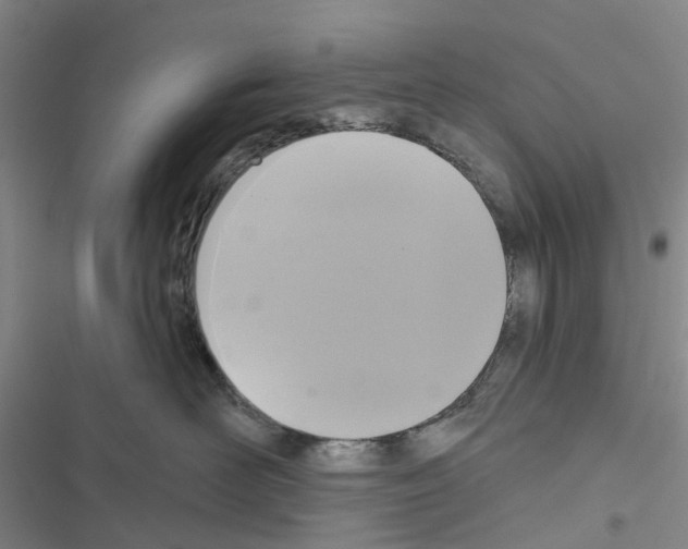X0000116430526201001191513