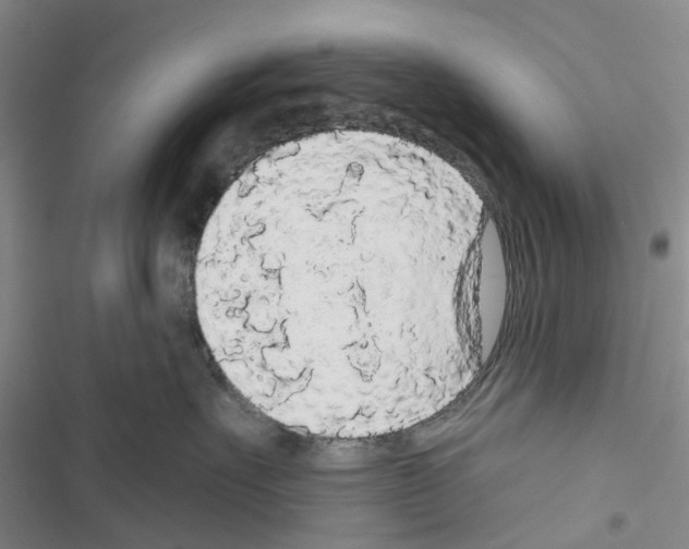 X0000116430527201001191513