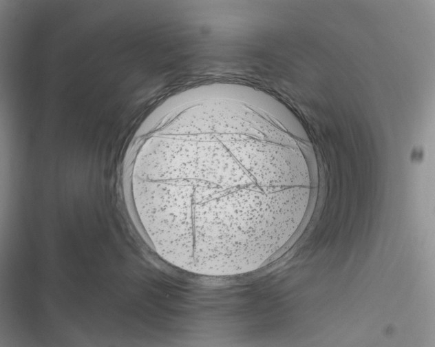 X0000116430528201001191513