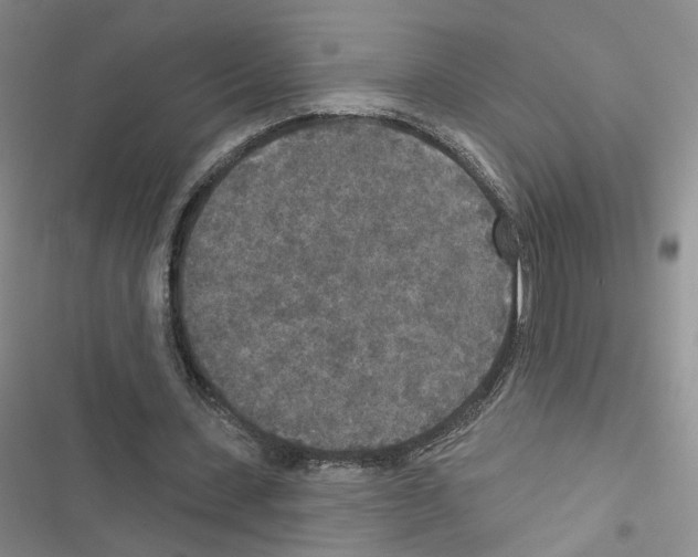 X0000116430531201001191513